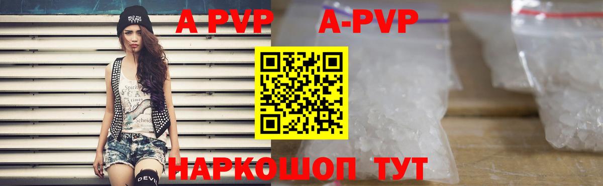 Alfa_PVP СК КРИС Саранск