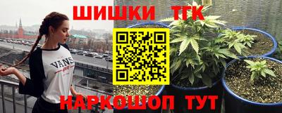 винт Славянск-на-Кубани