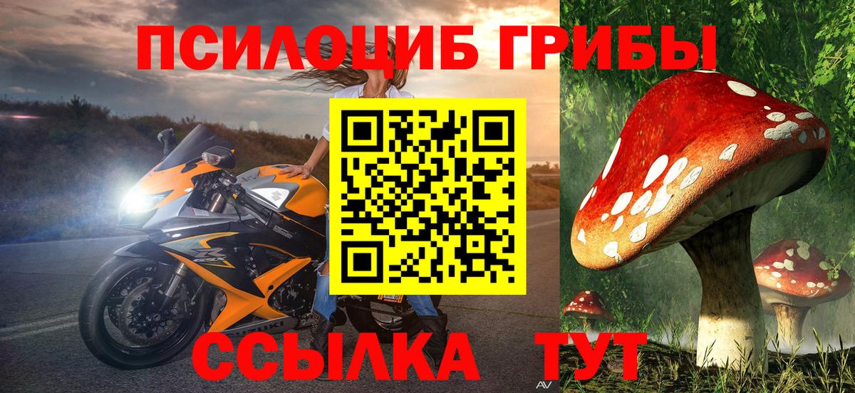 Галлюциногенные грибы GOLDEN TEACHER  что такое   Саранск  Псилоцибиновые грибы Magic Shrooms  Вход с VPN 
