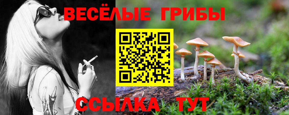 Галлюциногенные грибы Magic Shrooms Саранск